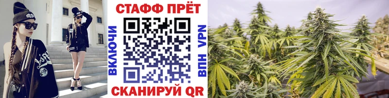  КОКАИН Павловская