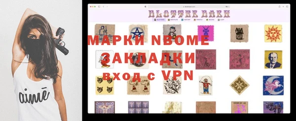 хмурый Алексин