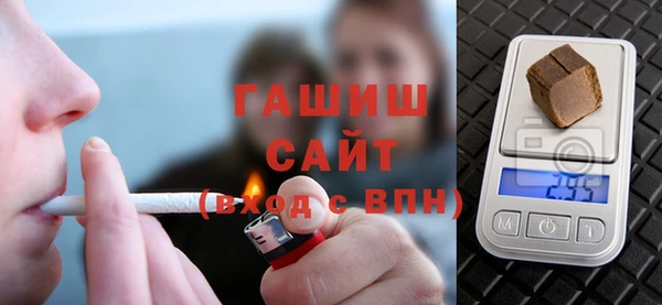 хмурый Алексин