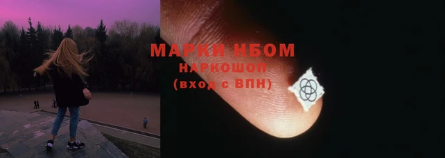 хмурый Алексин