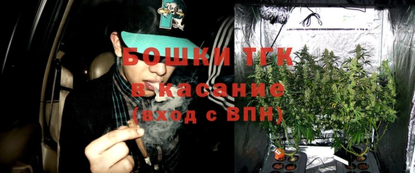 хмурый Алексин