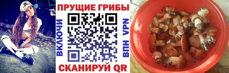 ОМГ ОМГ ССЫЛКА  Павловская  Галлюциногенные грибы Cubensis  цены наркотик 