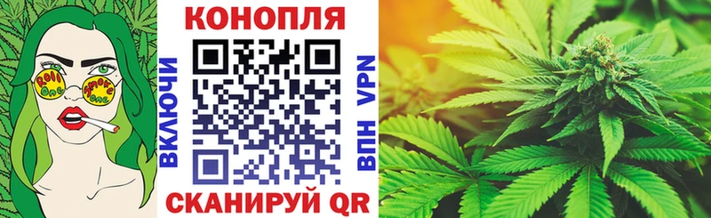 Конопля SATIVA & INDICA  Павловская 